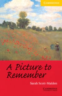 Book Cover for A Picture to Remember by Sarah ScottMalden