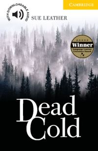 Book Cover for Dead Cold by Sue Leather