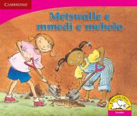 Book Cover for Metswalle E Mmedi E Meholo (Sesotho) by Kerry SaadienRaad