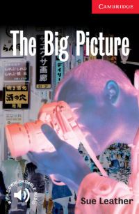 Book Cover for The Big Picture by Sue Leather