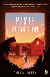 Book Cover for Pixie Pushes On by Tamara Bundy
