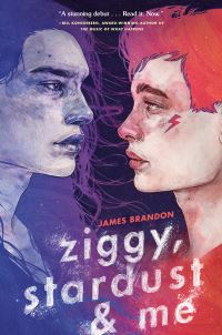 Book Cover for Ziggy, Stardust and Me by James Brandon