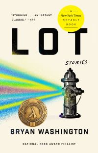 Book Cover for Lot by Bryan Washington