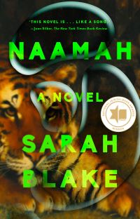 Book Cover for Naamah by Sarah Blake