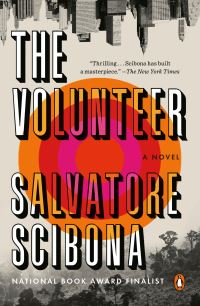 Book Cover for The Volunteer by Salvatore Scibona
