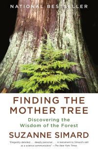 Book Cover for Finding the Mother Tree by Suzanne Simard