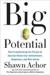 Book Cover for Big Potential by Shawn Achor