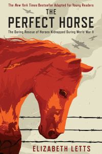 Book Cover for Perfect Horse by Elizabeth Letts