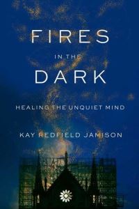 Book Cover for Fires in the Dark by Kay R Jamison