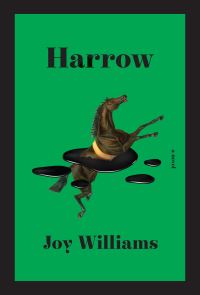 Book Cover for Harrow by Joy Williams