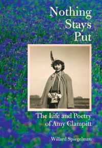 Book Cover for Nothing Stays Put by Willard Spiegelman