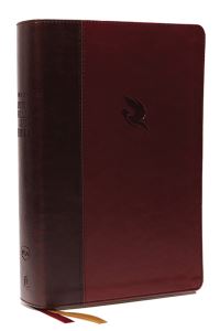 Book Cover for Holy Bible by Jack W Hayford