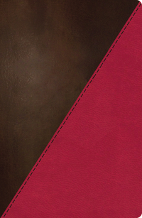 Book Cover for NKJV Study Bible, Leathersoft, Pink/Brown, Thumb Indexed by Thomas Nelson