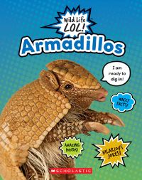 Book Cover for Armadillos by Scholastic