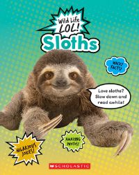 Book Cover for Sloths by Lisa M Herrington