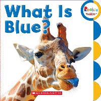 Book Cover for What Is Blue? by 