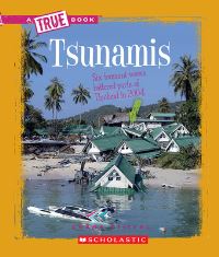 Book Cover for Tsunamis (A True Book by Laine Falk