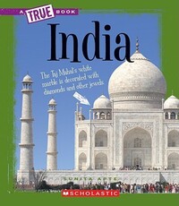 Book Cover for India by Laine Falk