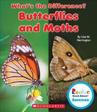 Book Cover for Butterflies and Moths by Lisa M Herrington