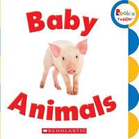 Book Cover for Baby Animals by Scholastic