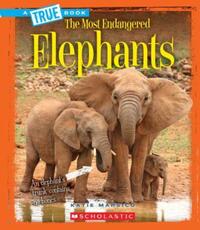 Book Cover for Elephants (A True Book by Katie Marsico