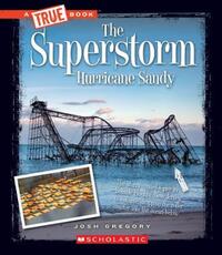 Book Cover for The Superstorm by Josh Gregory