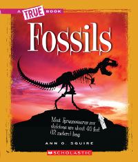 Book Cover for Fossils (A True Book by Ann Squire