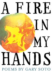 Book Cover for A Fire in My Hands by Gary Soto