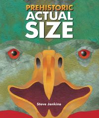 Book Cover for Prehistoric Actual Size by Steve Jenkins