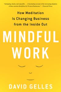 Book Cover for Mindful Work by David Gelles