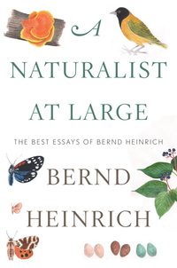 Book Cover for A Naturalist at Large by Bernd Heinrich