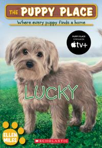 Book Cover for Lucky by Ellen Miles
