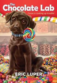Book Cover for The Chocolate Lab by Eric Luper