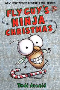 Book Cover for Fly Guy's Ninja Christmas by Tedd Arnold