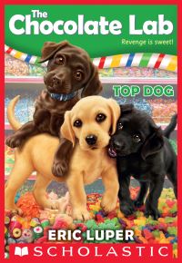 Book Cover for Top Dog by Eric Luper