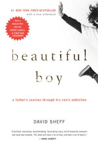 Book Cover for Beautiful Boy by David Sheff