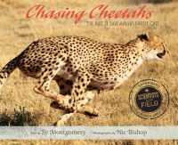 Book Cover for Chasing Cheetahs by Sy Montgomery