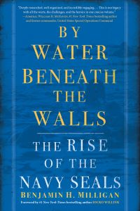 Book Cover for By Water Beneath the Walls by Benjamin H Milligan
