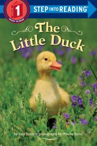 Book Cover for The Little Duck by Judy Dunn