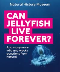 Book Cover for Can Jellyfish Live Forever? by The Natural History Museum