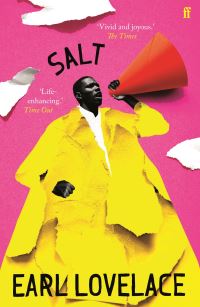 Book Cover for Salt by Earl Lovelace