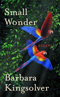 Book Cover for Small Wonder by Barbara Kingsolver