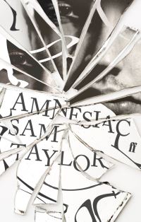 Book Cover for The Amnesiac by Sam Taylor