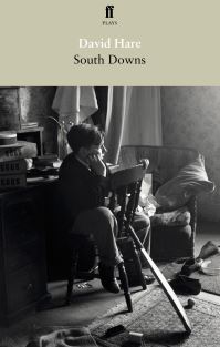 Book Cover for South Downs by David Hare
