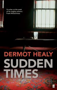 Book Cover for Sudden Times by Dermot Healy