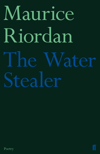 Book Cover for The Water Stealer by Maurice Riordan