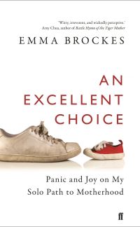 Book Cover for An Excellent Choice by Emma Brockes