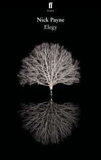 Book Cover for Elegy by Nick Payne