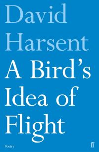 Book Cover for A Bird's Idea of Flight by David Harsent
