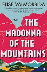 Book Cover for The Madonna of the Mountains by Elise Valmorbida